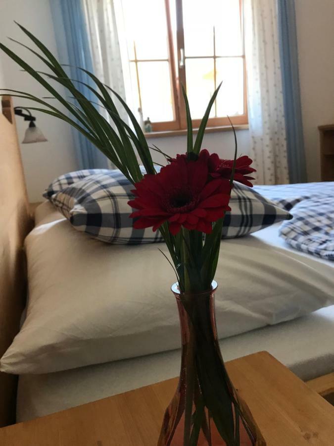 Ferienwohnung Gruber-Hansen Kaltenbach Ngoại thất bức ảnh